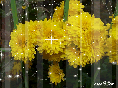 2_iykim2000_003_01 2_iykim2000_003_01